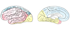 Очаговая неврологическая симптоматика